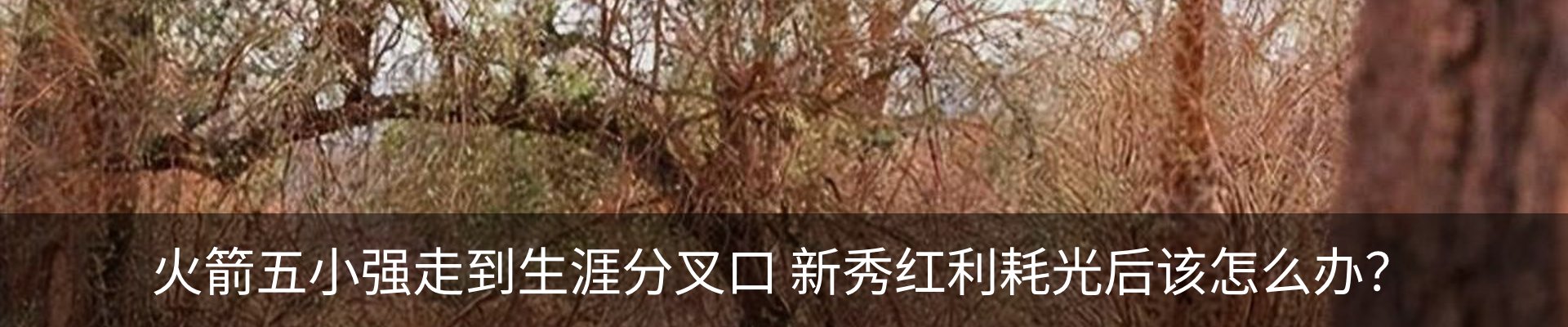 最新动态