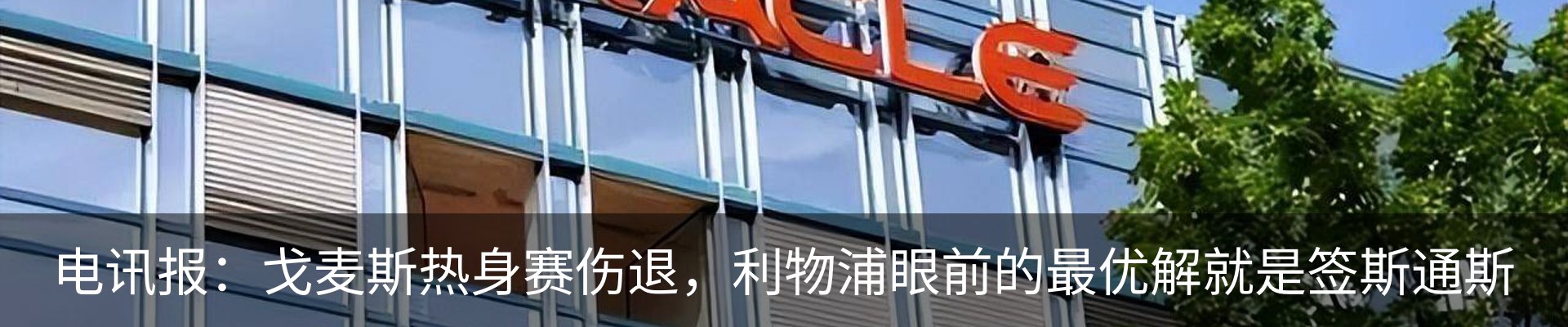 最新动态