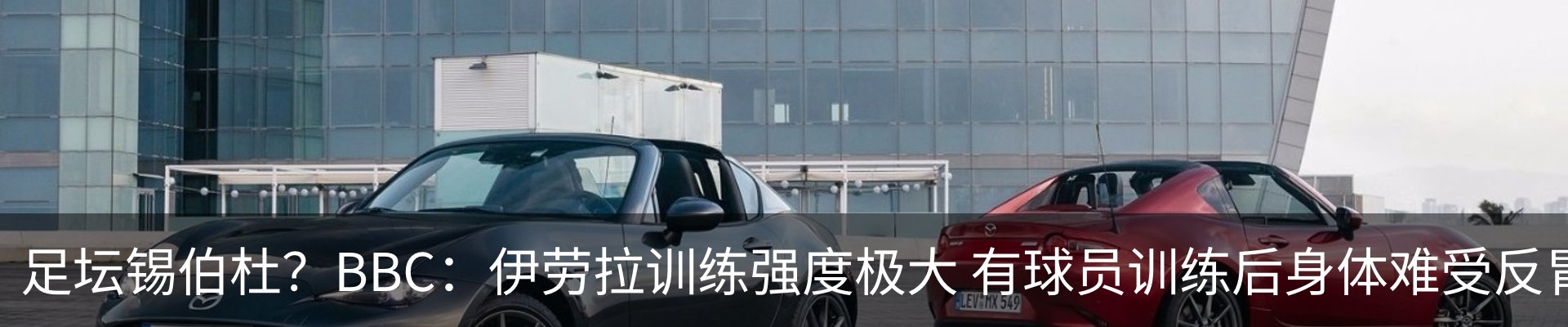 最新动态